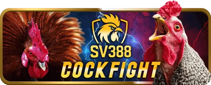 Điền thông tin vào form đăng ký hz88